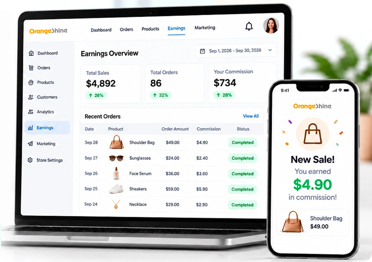 Sales dashboard and mobile store earnings overview